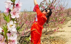 免费观看又黄又爽又色的小说